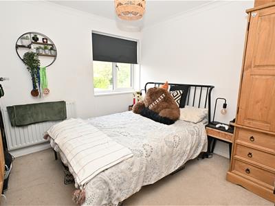 Picture 7